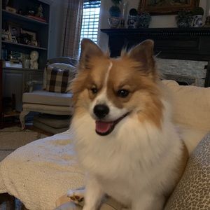 Meet your Posher, Tammy